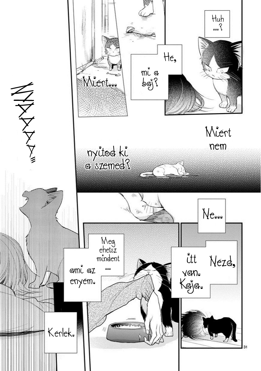 My Roommate Is a Cat Találkozás az ismeretlennel 第31页