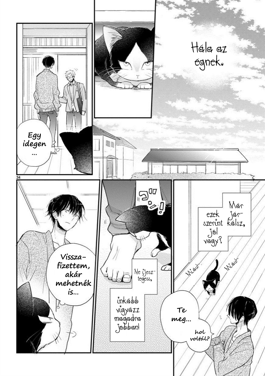My Roommate Is a Cat Találkozás az ismeretlennel 第34页