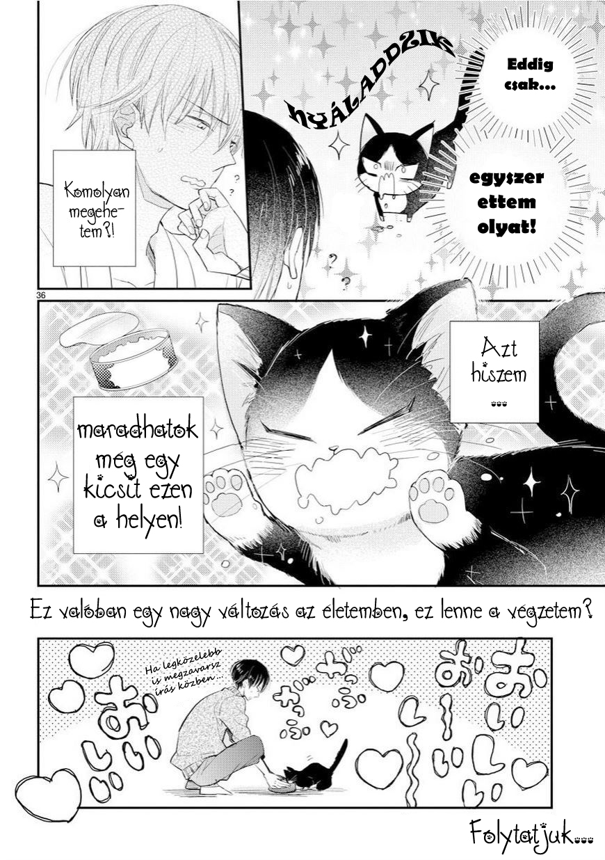 My Roommate Is a Cat Találkozás az ismeretlennel 第36页