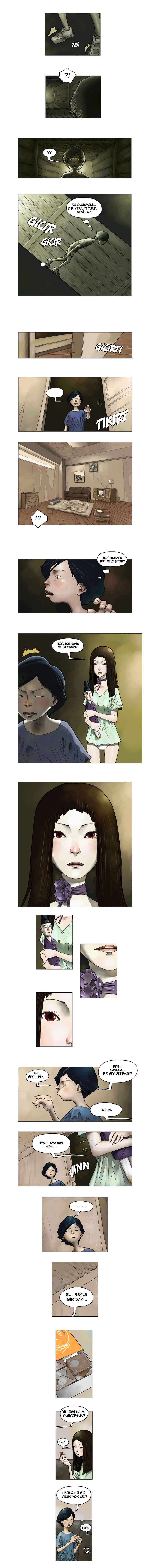 Hwaja 第8页