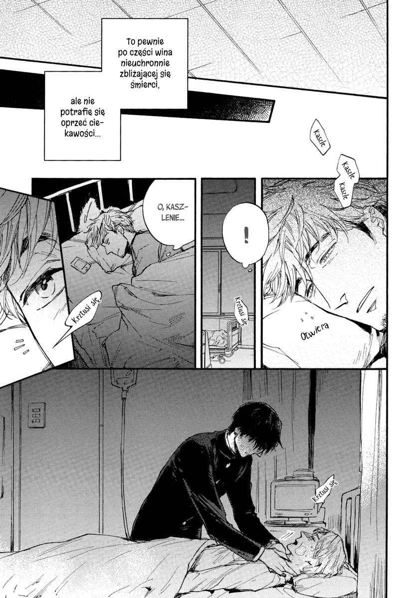 Fubin BL (Anthology) Yasashii Dakeno (Suzuki Tsuta) 第11页