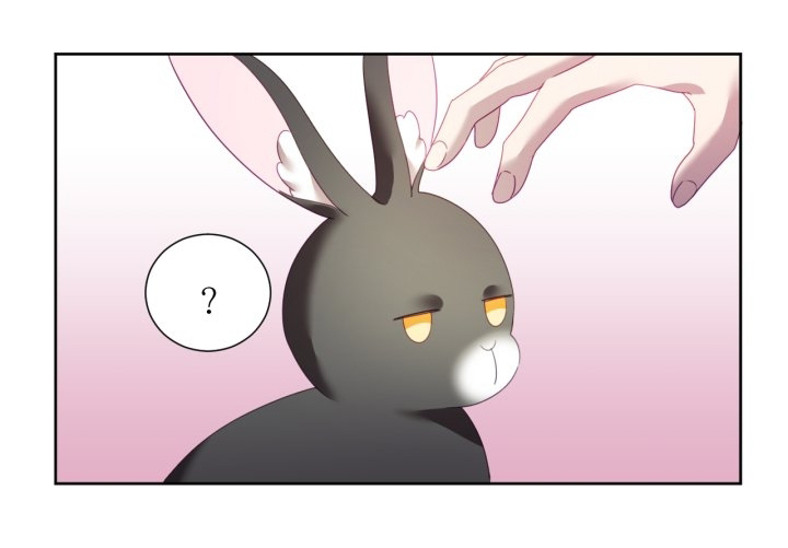 The Fake Lady and Her Rabbit Duke Ch. 2 第51页