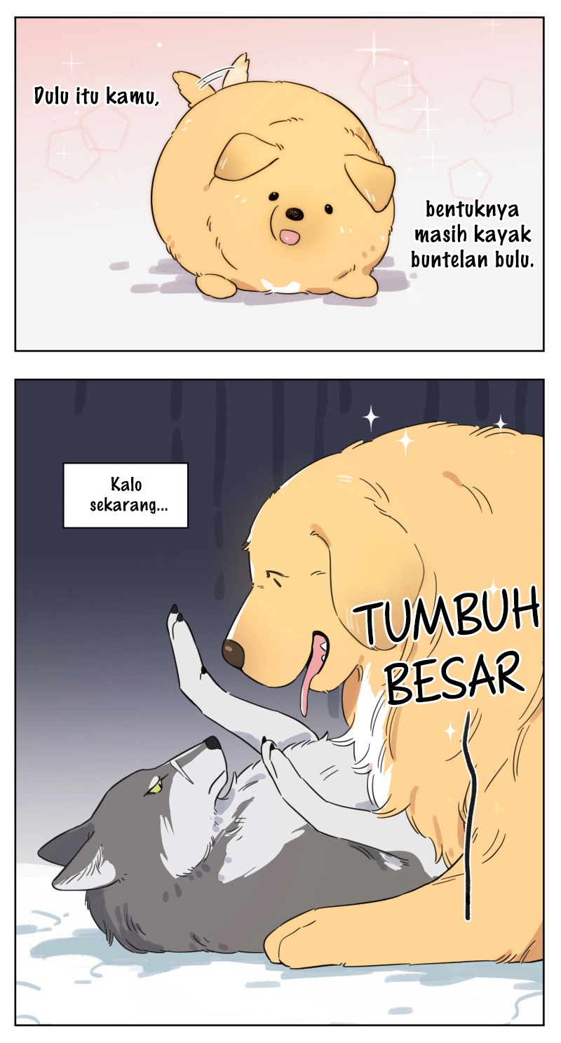 The Wolf That Picked Something Up Ch. 2 第6页