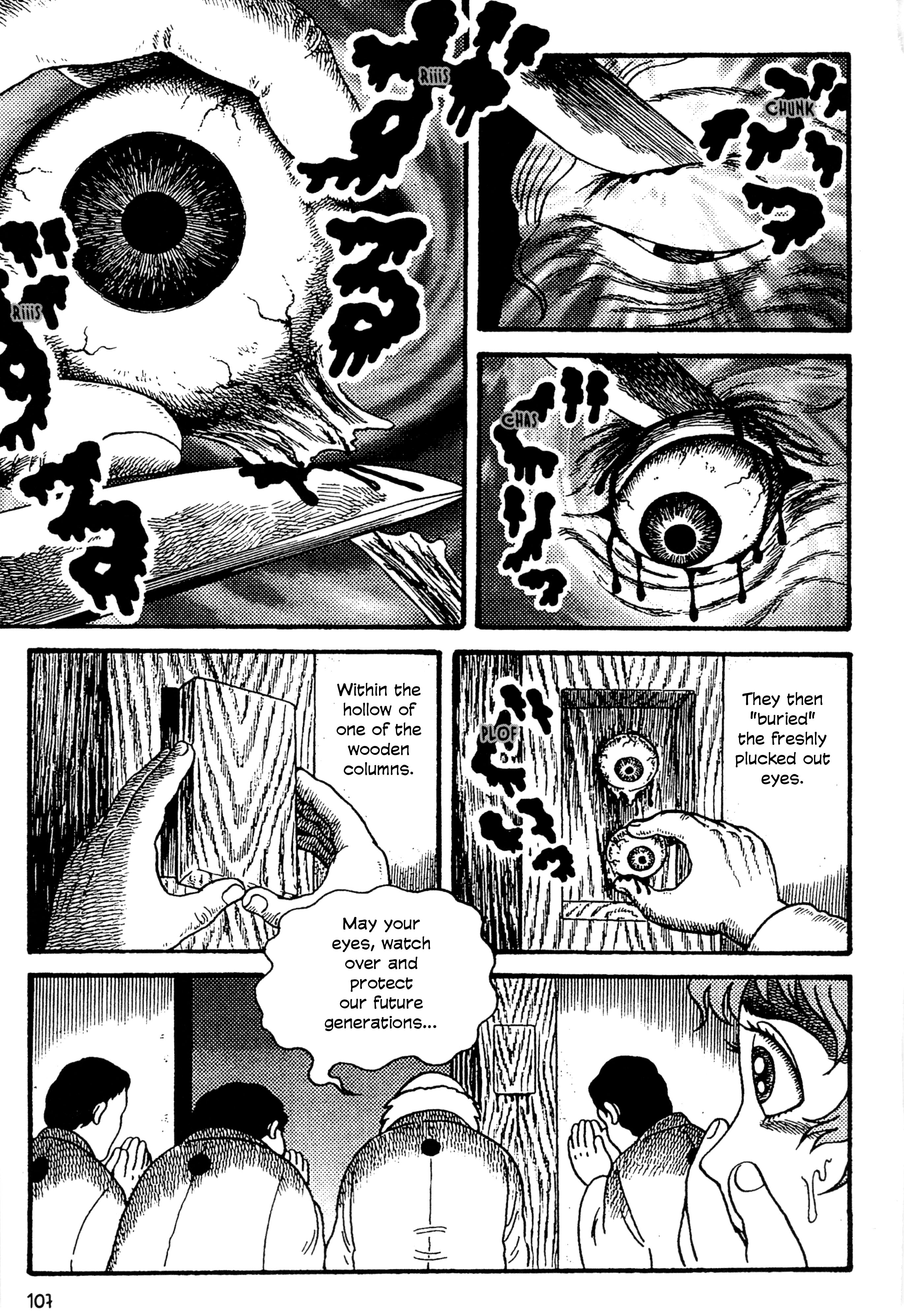 Go Home The House of Flesh and Blood 第15页
