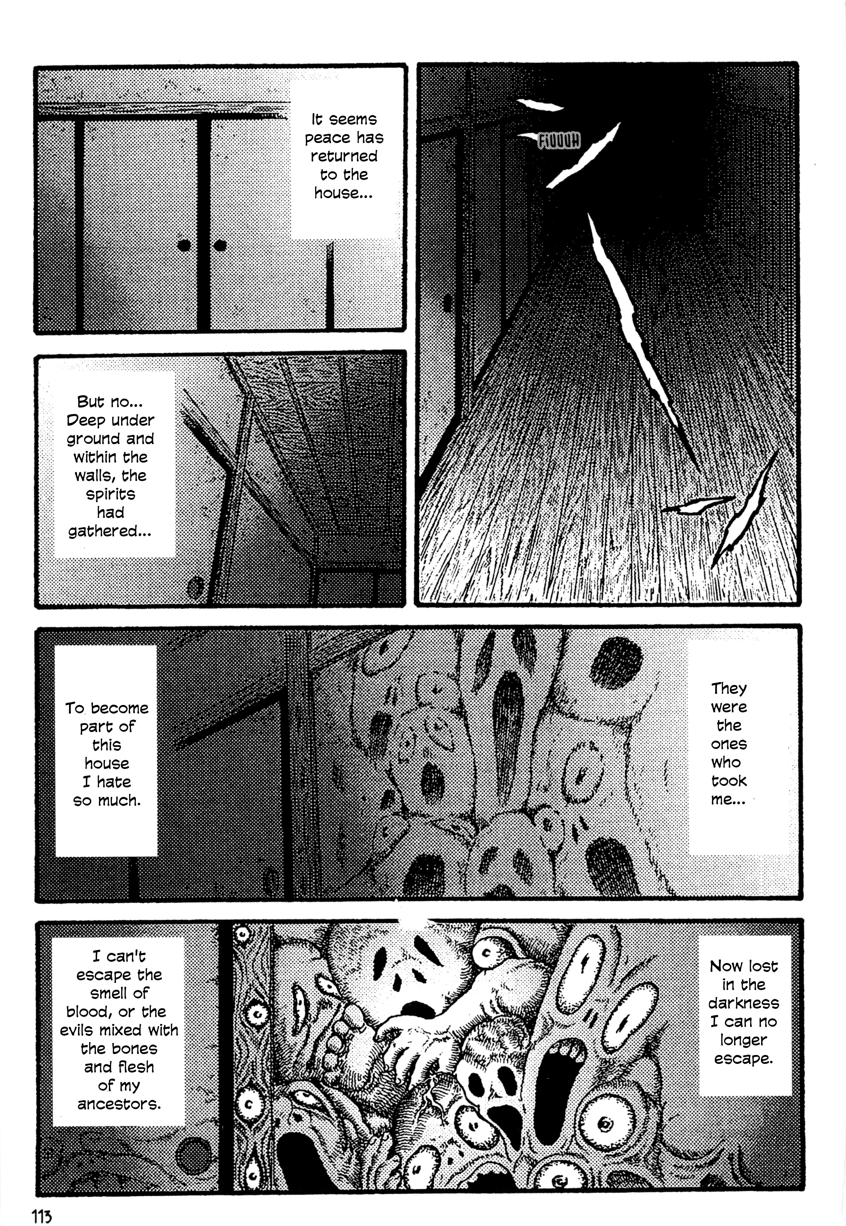 Go Home The House of Flesh and Blood 第21页