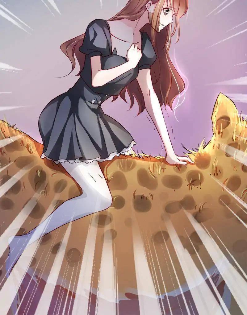 Beauty and the Beasts Vol. 1 Ch. 2 第26页