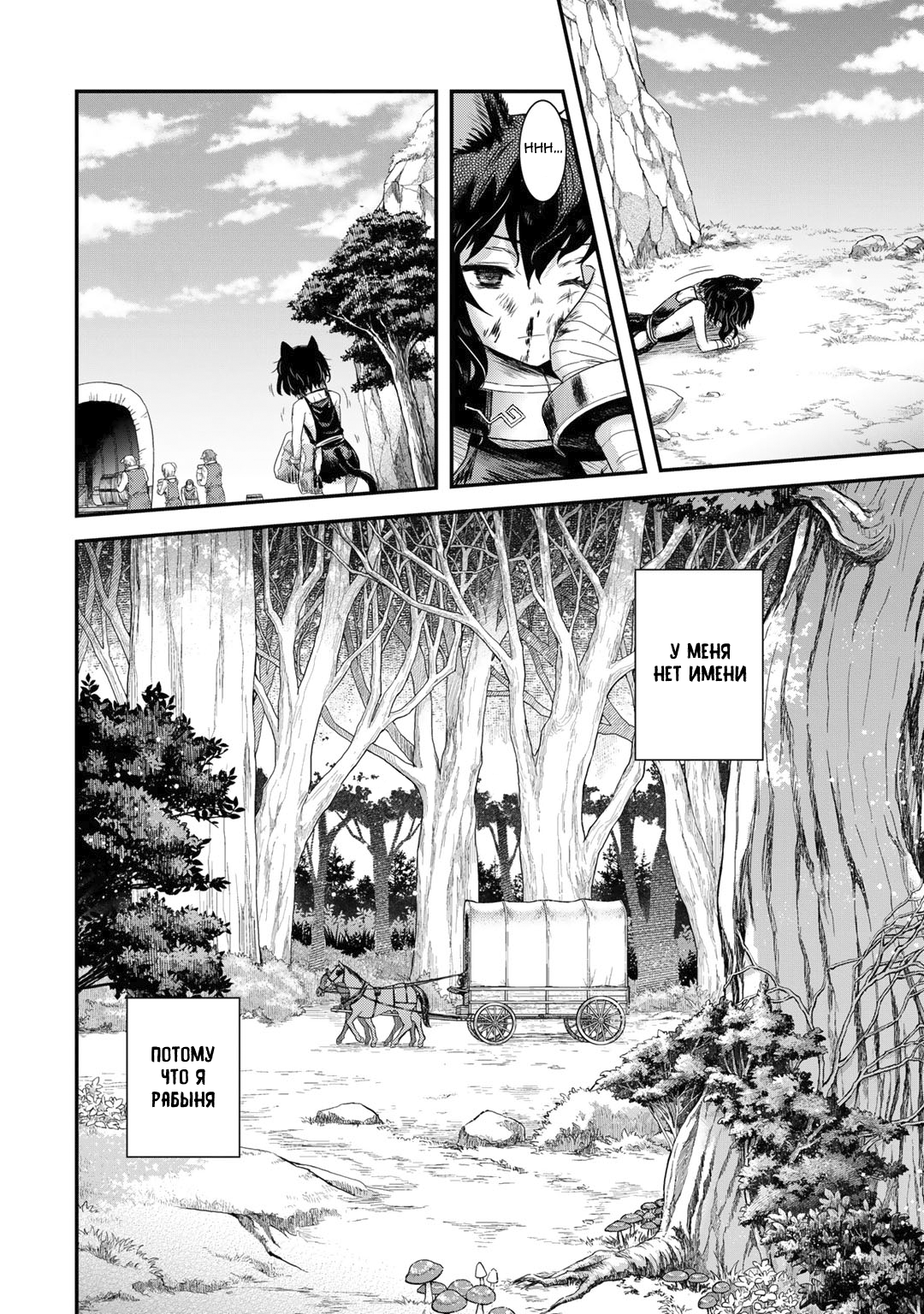 Tensei Shitara Ken deshita Безымянная черная кошка 第5页