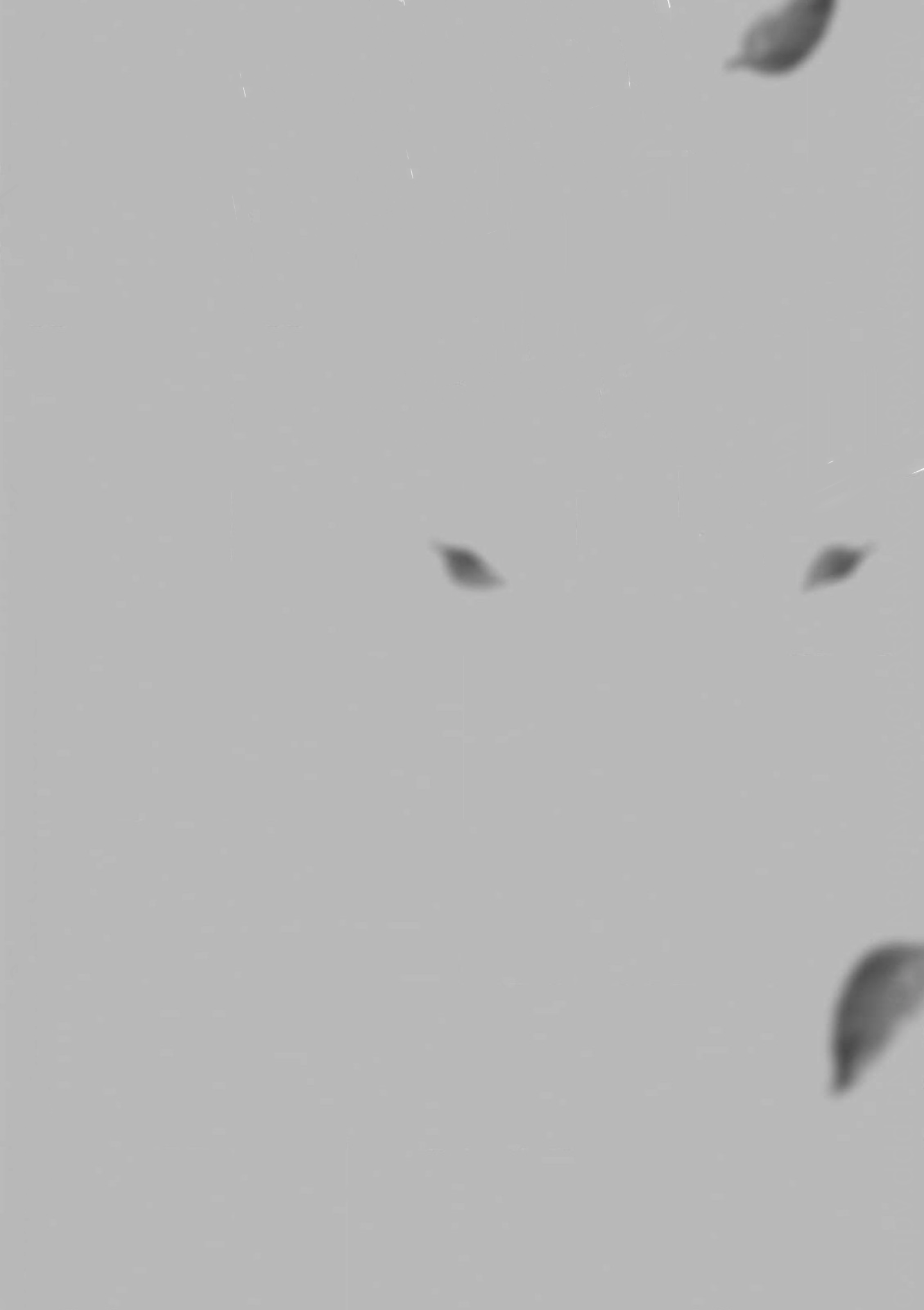 Ano Kiss wo Tadotte Ch. 3 第2页
