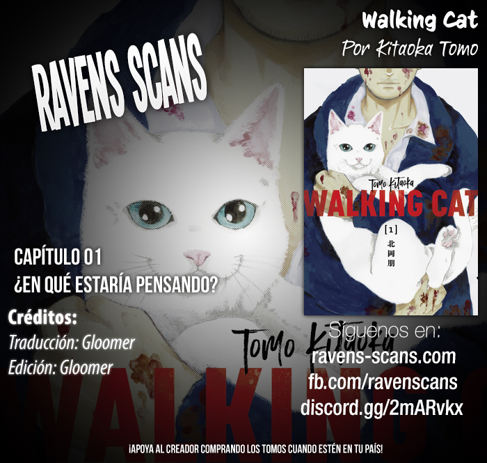Walking Cat 第1页