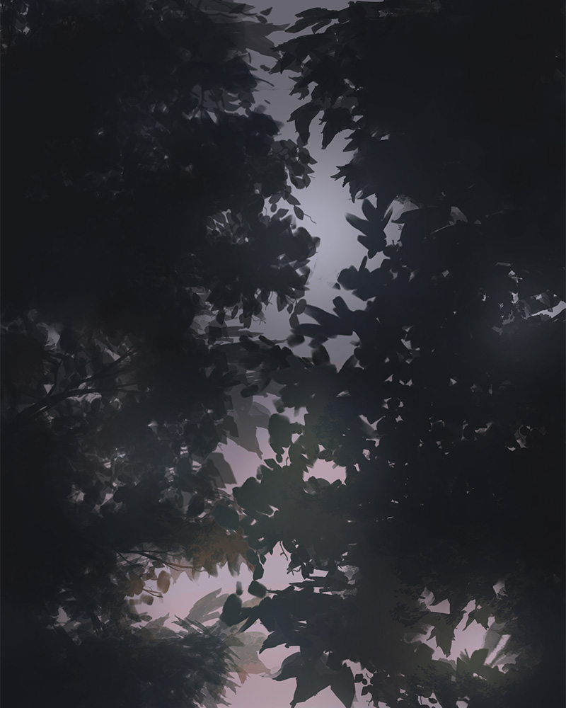 Rot & Ruin 第2页