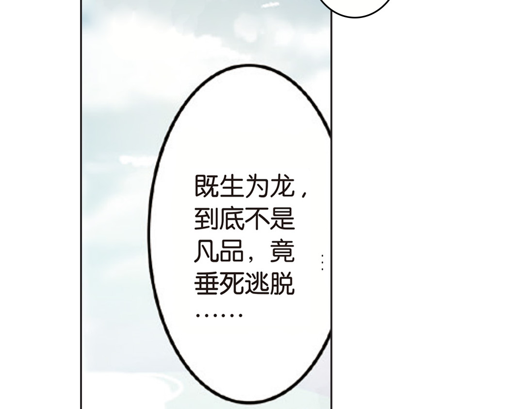 浮生物语 第2话（上） 狂放难羁号孽龙 第30页