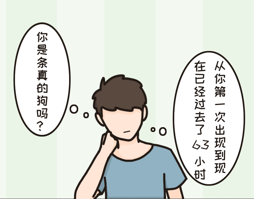 非正常猫狗图鉴 第6页