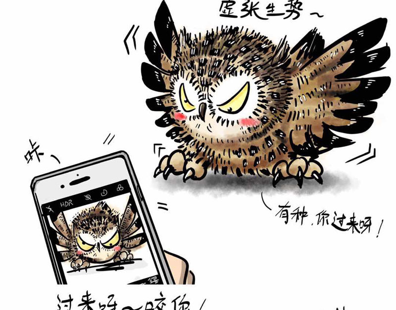 猫头鹰睡不着 我在家里捡到你 第12页