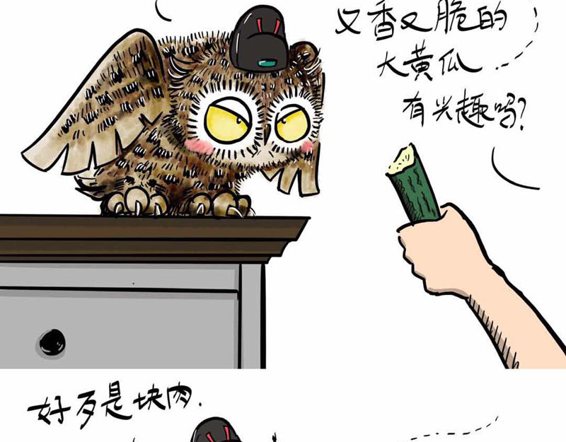 猫头鹰睡不着 我在家里捡到你 第31页