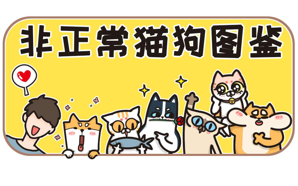 非正常猫狗图鉴 第三话 第1页