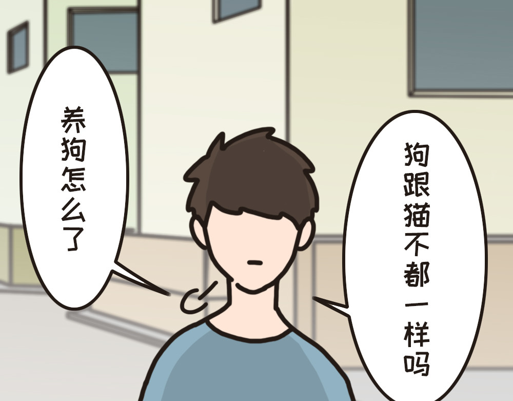 非正常猫狗图鉴 第六话 第37页