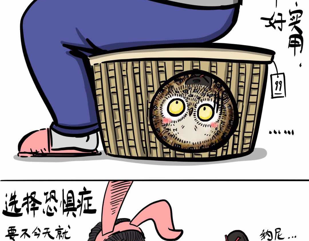 猫头鹰睡不着 给小夜猫子做个窝 第12页