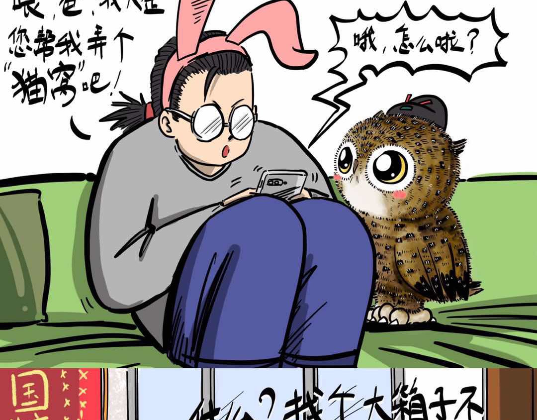 猫头鹰睡不着 给小夜猫子做个窝 第16页