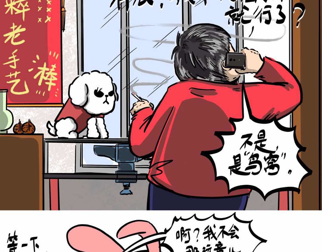 猫头鹰睡不着 给小夜猫子做个窝 第17页