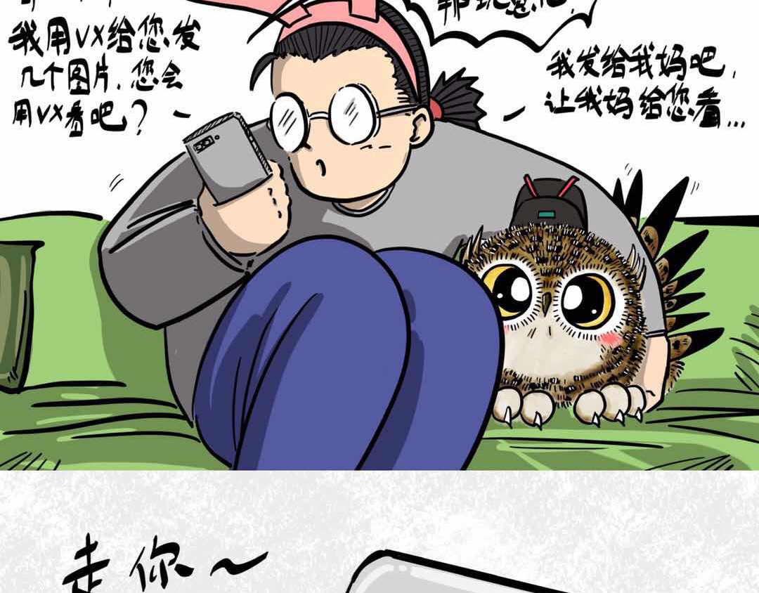 猫头鹰睡不着 给小夜猫子做个窝 第18页