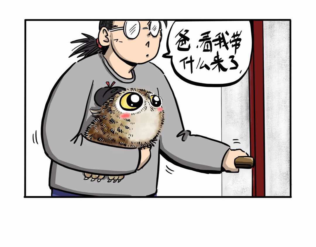 猫头鹰睡不着 给小夜猫子做个窝 第29页