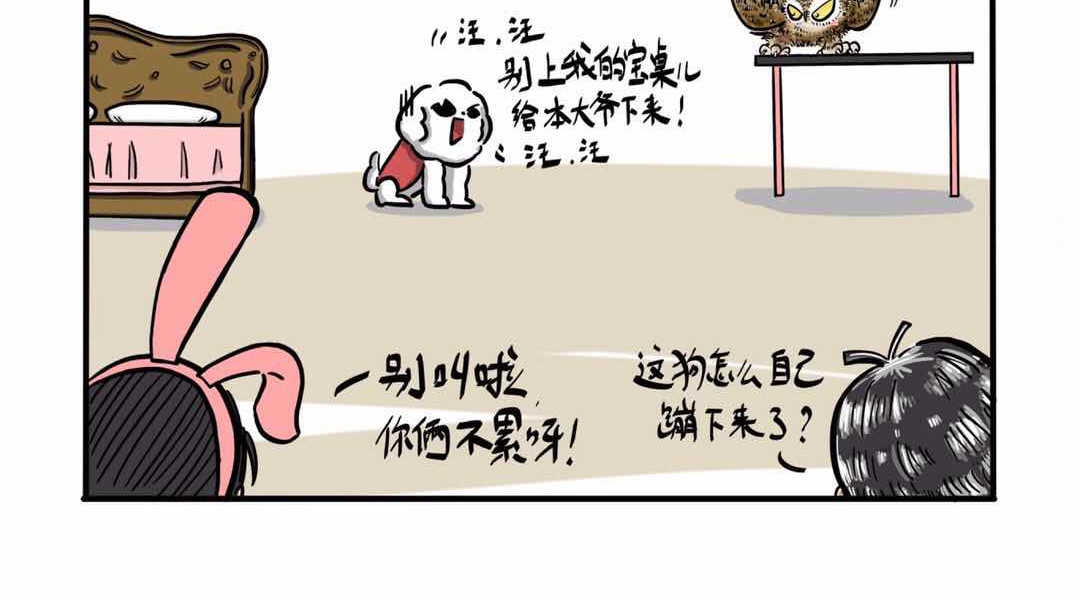 猫头鹰睡不着 给小夜猫子做个窝 第40页
