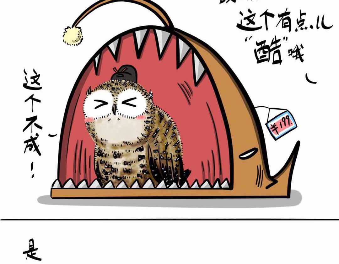 猫头鹰睡不着 给小夜猫子做个窝 第10页