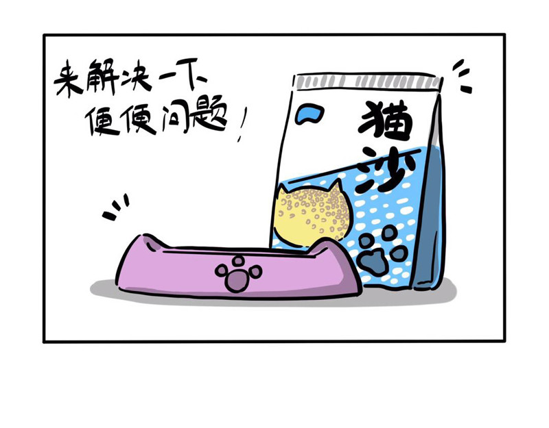 猫头鹰睡不着 屎的问题 第4页