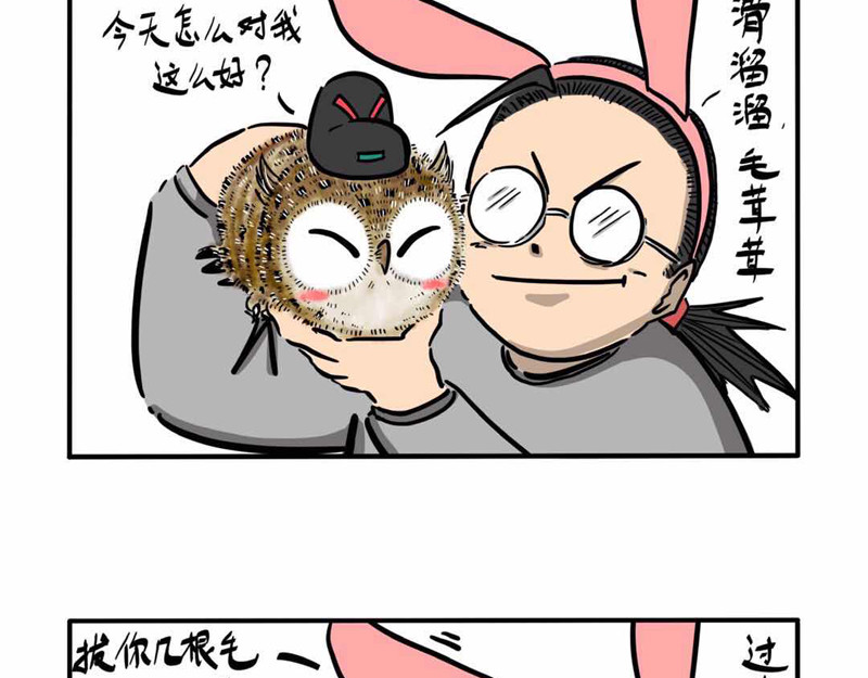 猫头鹰睡不着 屎的问题 第32页