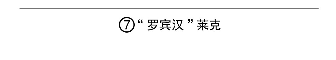 苏苏和维维历险记 “罗宾汉”莱克 第2页