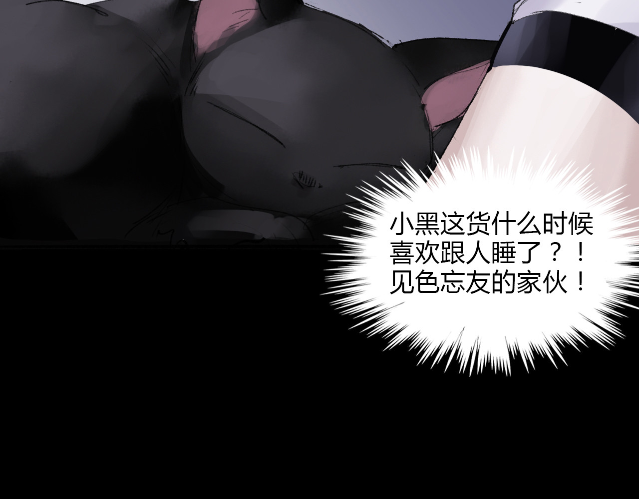 猫女 猫女全章节 第86页