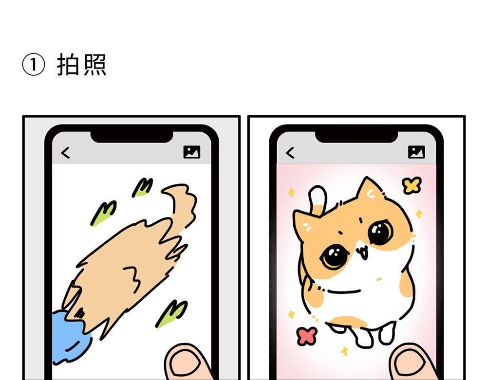 枸杞和伙伴们 第1页