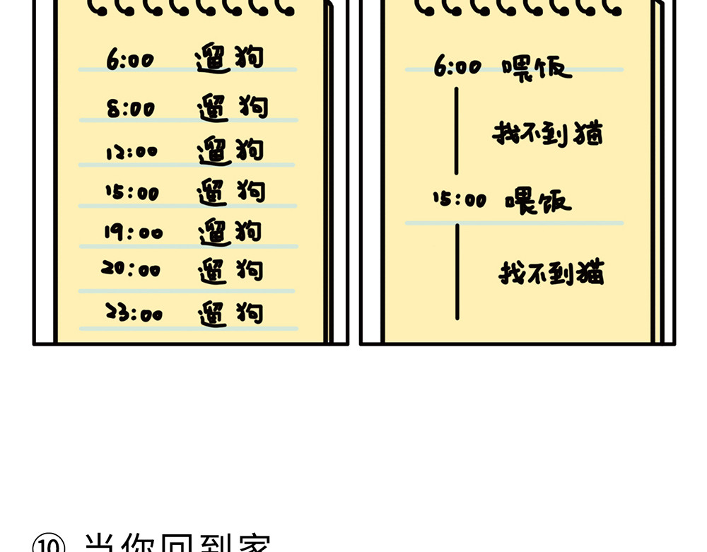 枸杞和伙伴们 狗狗还是猫咪？选一个吧！ 第12页