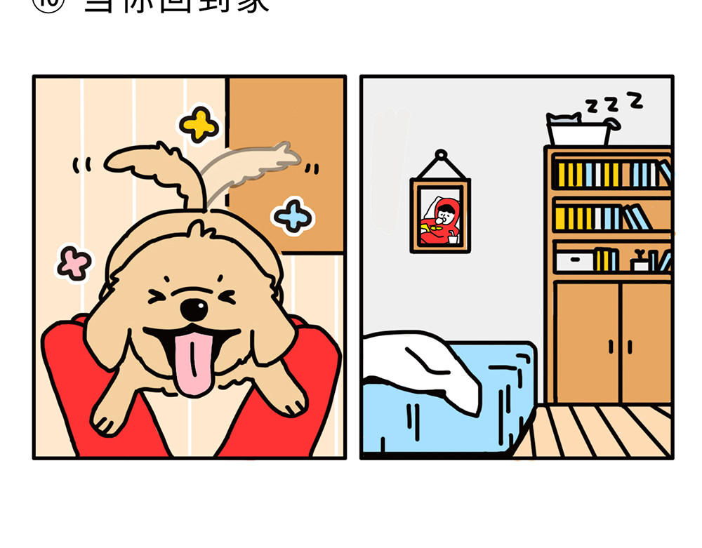 枸杞和伙伴们 狗狗还是猫咪？选一个吧！ 第13页