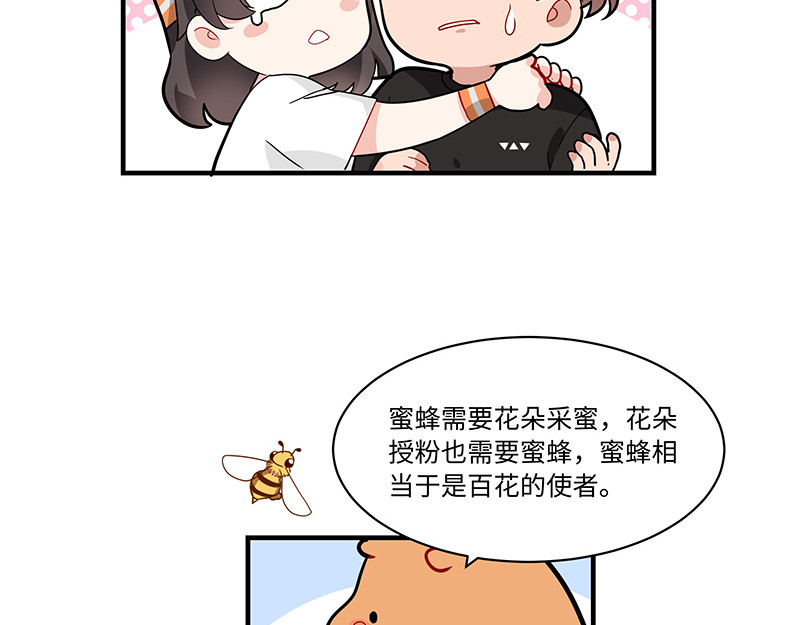 西子路的镇宅兽 第6话 今年桃树不开花 第26页