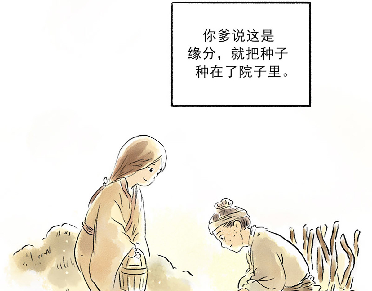 狐说 慈母倚树下，不见白玉兰。 第23页