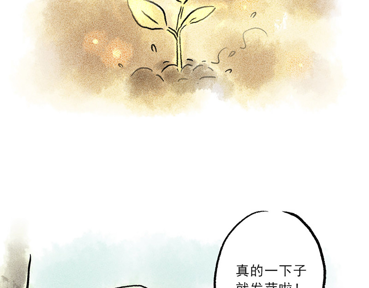 狐说 慈母倚树下，不见白玉兰。 第29页