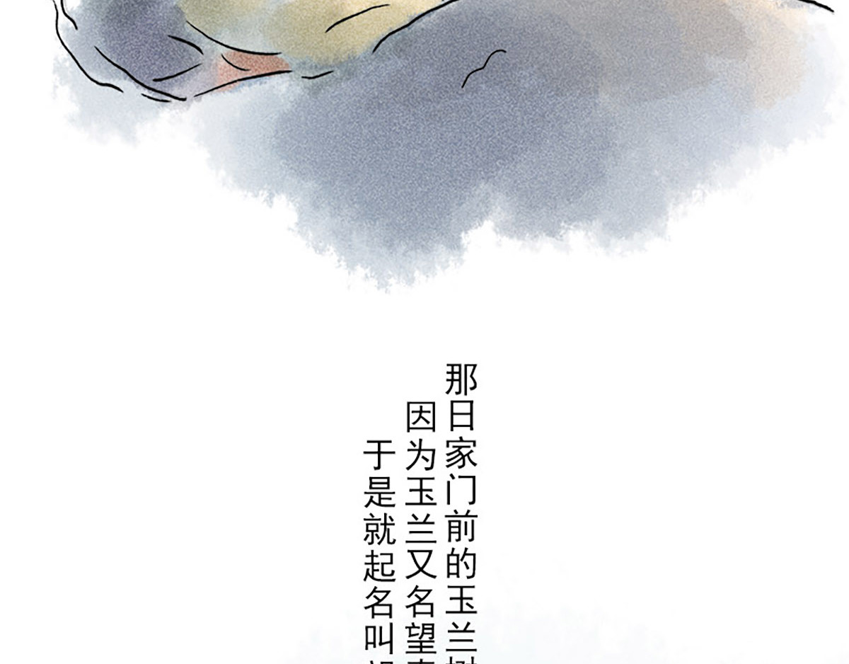 狐说 慈母倚树下，不见白玉兰。 第5页