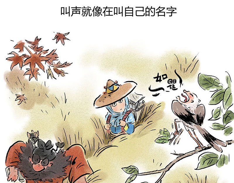 狐说 用五十年来告别 第11页