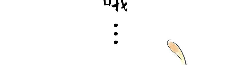 狐说 用五十年来告别 第242页