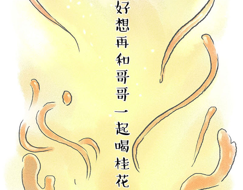 狐说 用五十年来告别 第244页