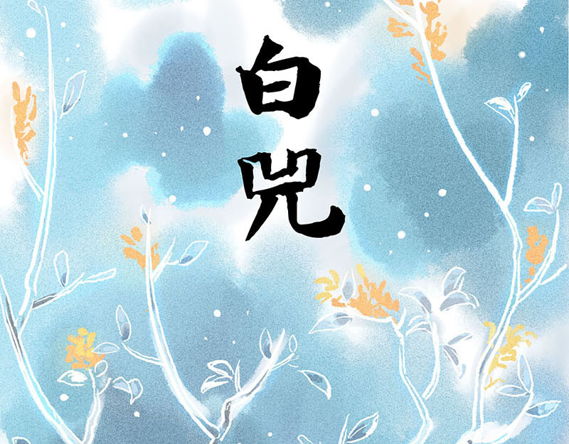狐说 用五十年来告别 第90页