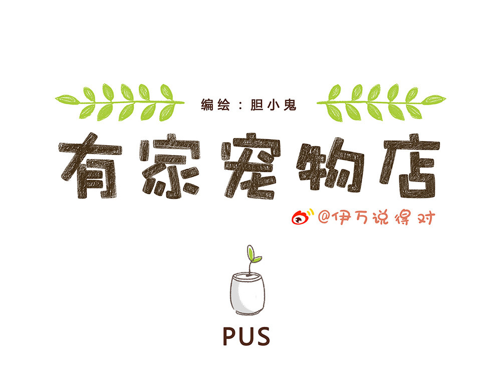 有家宠物店 第1页