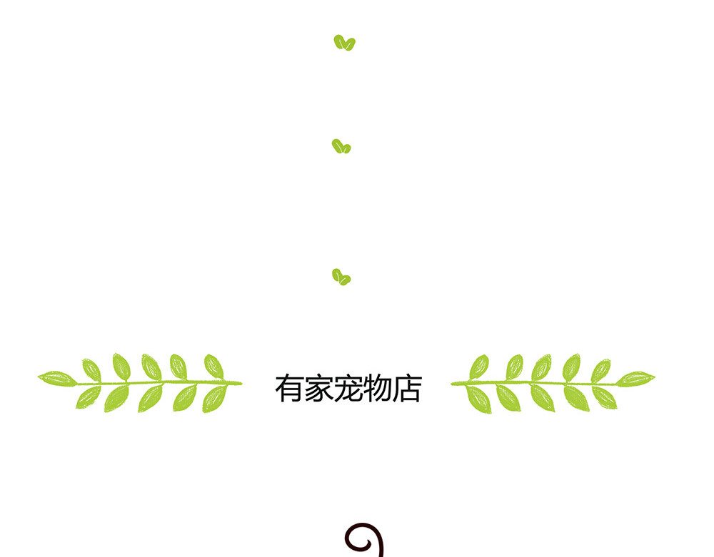 有家宠物店 美丽的邂逅？ 第13页