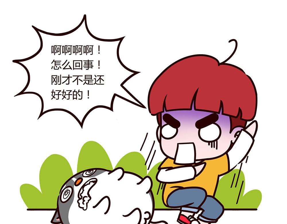有家宠物店 美丽的邂逅？ 第27页