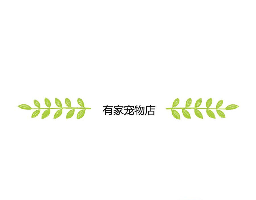 有家宠物店 不好的预感 第47页
