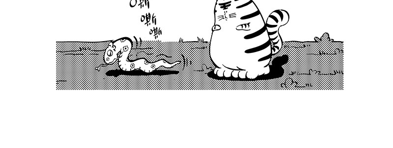 hello!蒲公英 名字 第10页