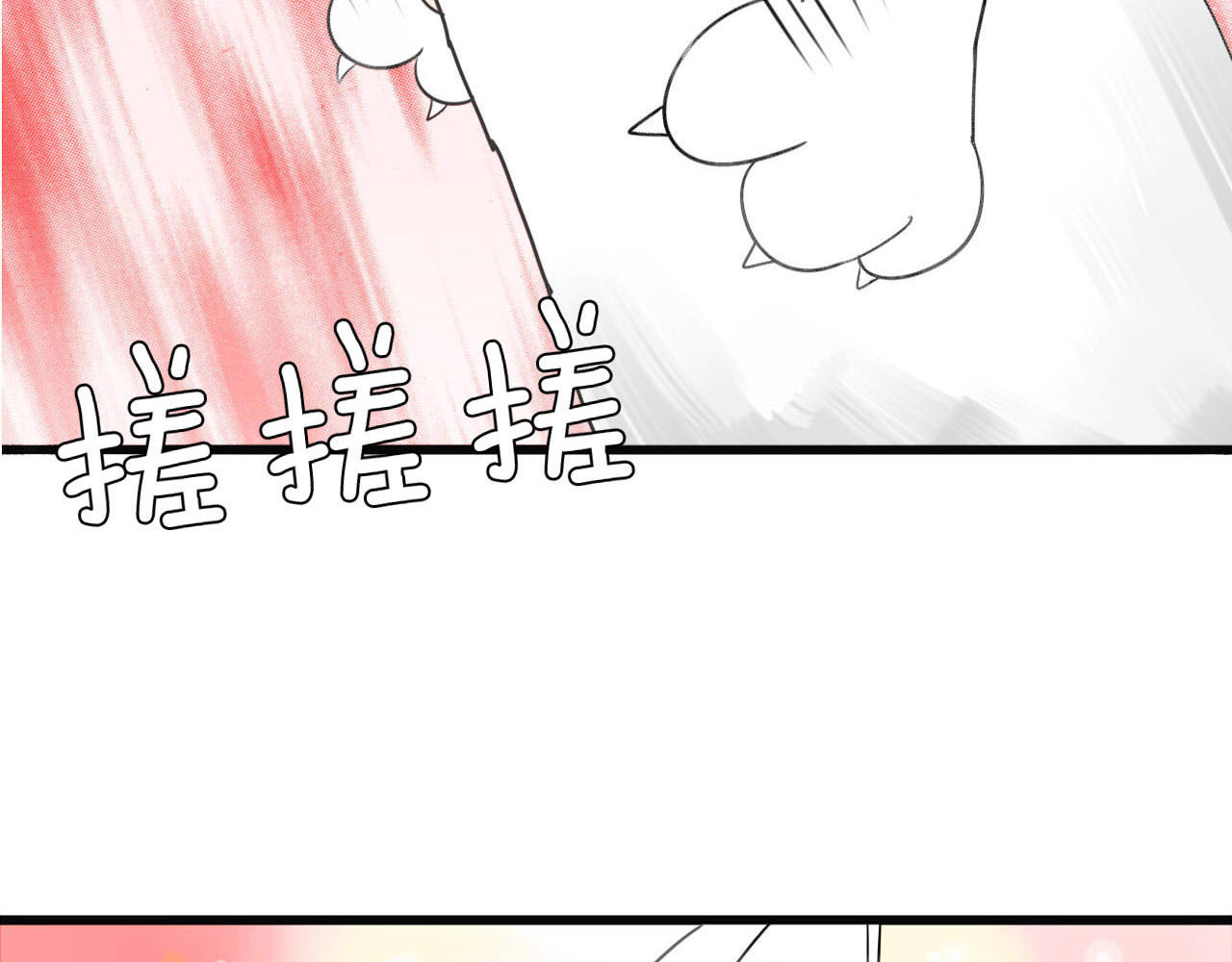 我的宠物失忆了 第1+2话  狐狸睡醒了 第36页