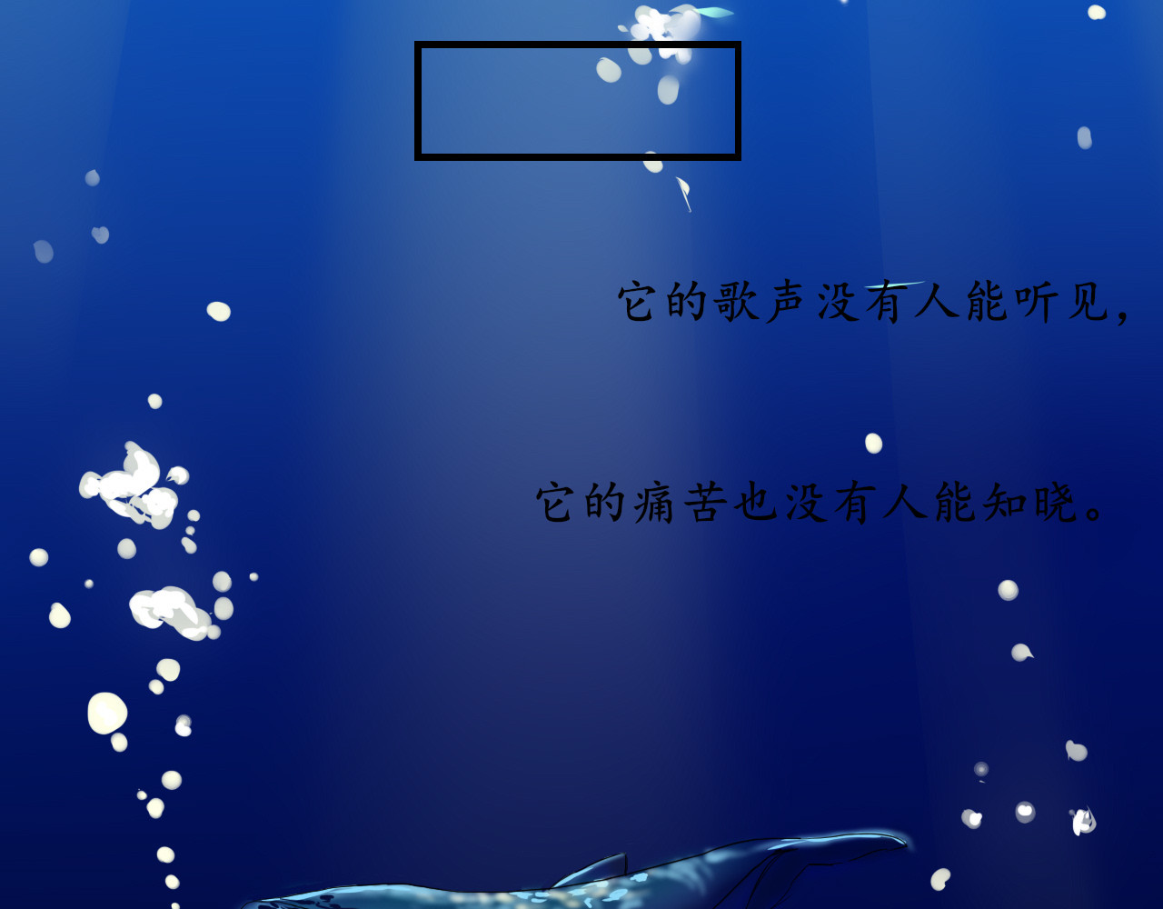 52hz 第3页