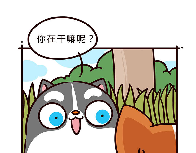 有家宠物店 05闭嘴--06自拍 第8页